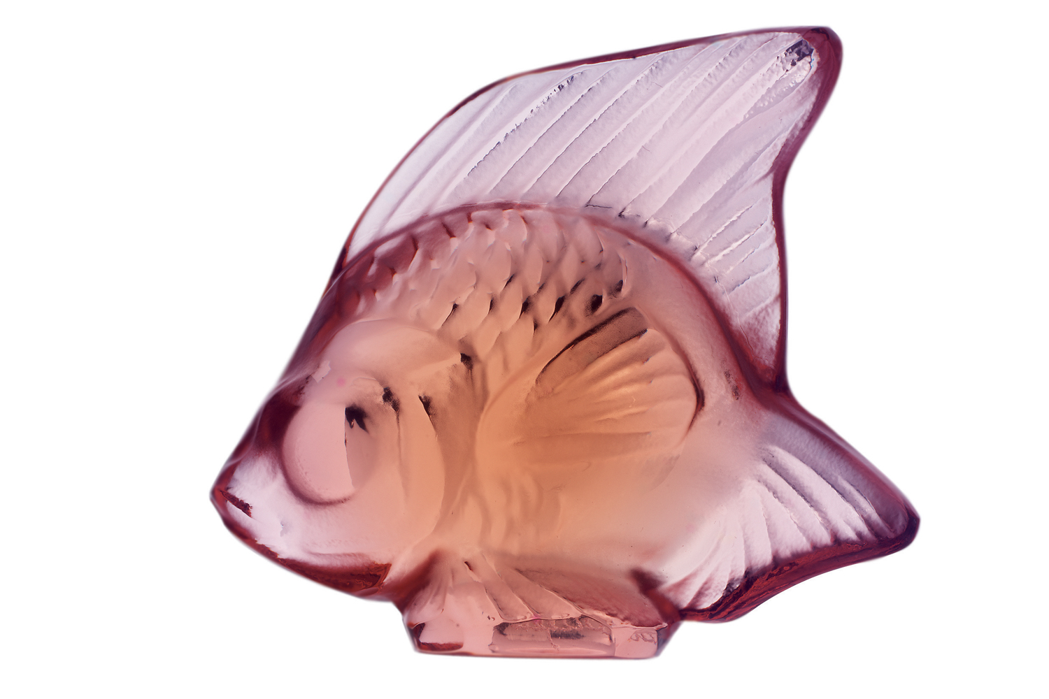 Pesce Rosa Opaco