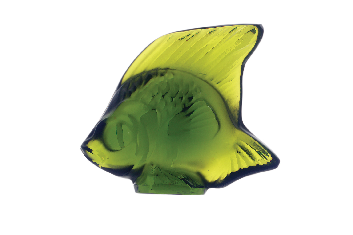 Pesce Verde (Tilleul)