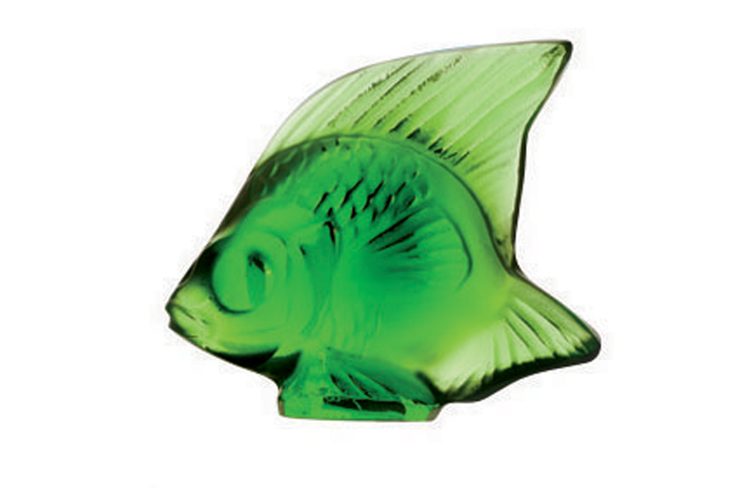 Pesce Verde Prato