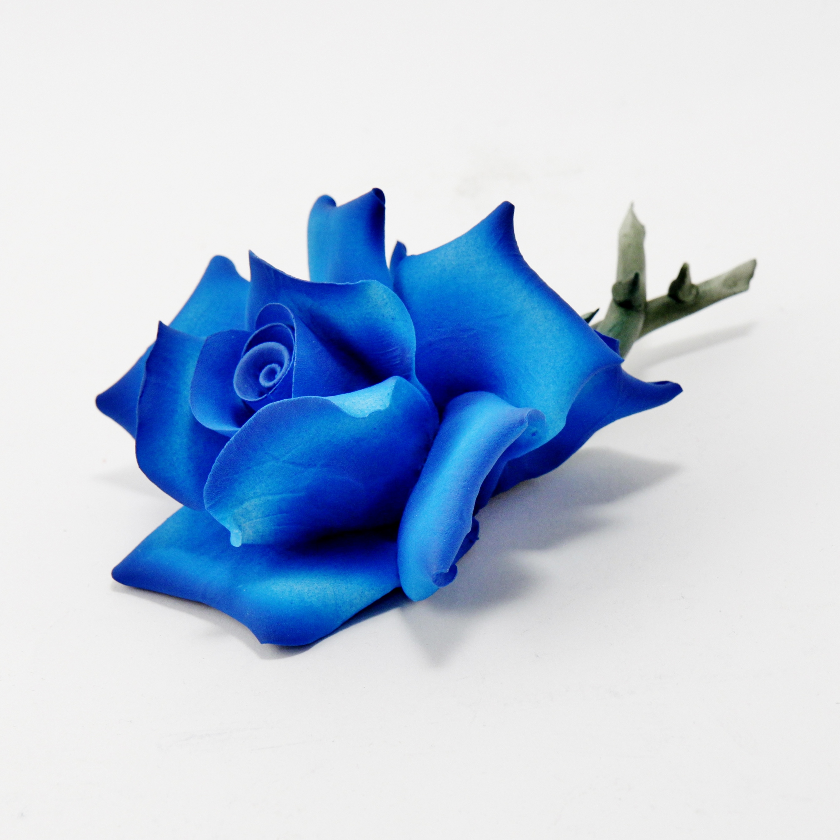 Rosa Colore Blu Luce by Dea Capodimonte