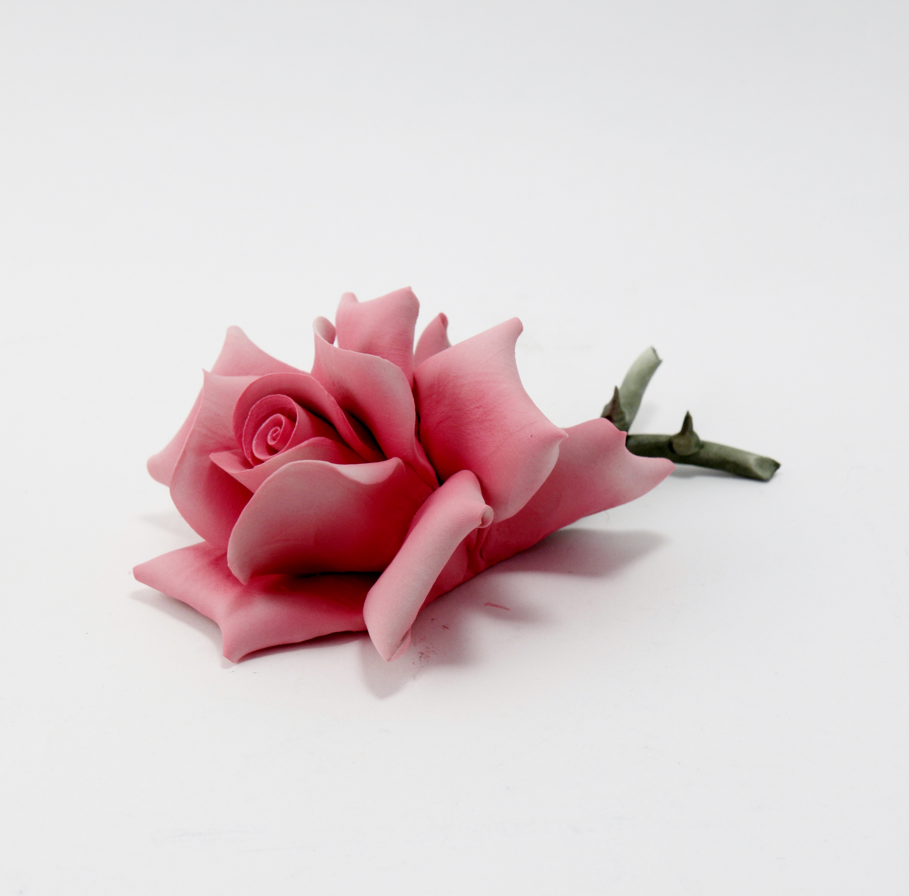 Rosa Colore Rosa by Dea Capodimonte